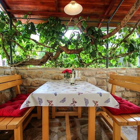 Carla Guest House Novigrad  Bagian luar foto